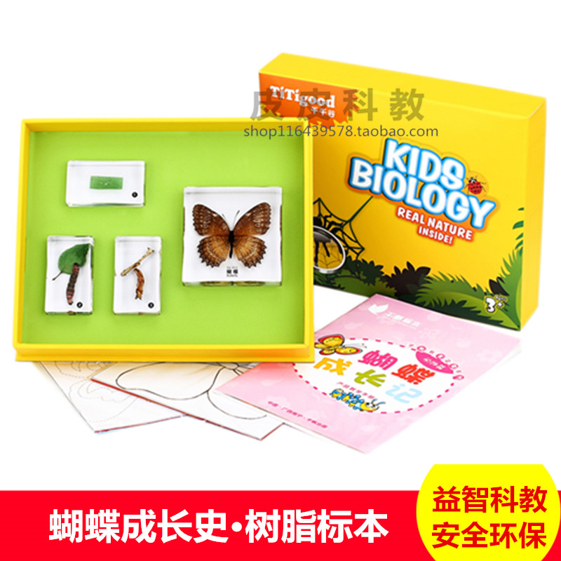 one thousand Sail Primary And Middle School Front Education Teaching Tool Children Insect Butterfly Growth Remember Development Real Bag Buried Specimen Suit