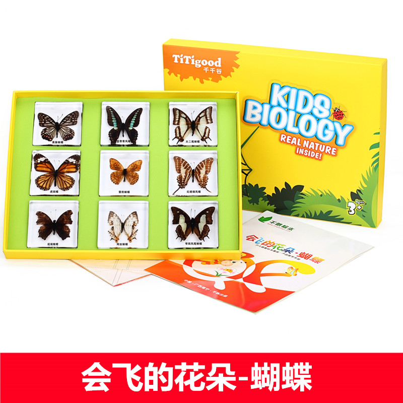 one thousand Sail Nursery School Teaching Tool Children Preschool Education Koteach Insect Butterfly Real Resin Packet Buried Specimen Suit