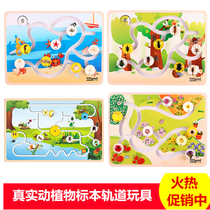 Kindergarten teaching puzzle Wall desktop track toy animal and plant specimen track game