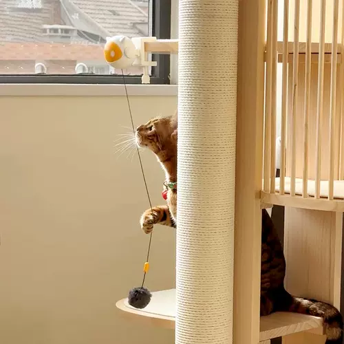 Электрическая автоматическая умная игрушка, кот, избавление от скуки