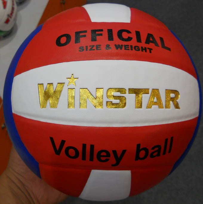 Ballon de volley-ball WINSTAR - Ref 2016119 Image 11