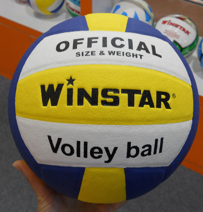 Ballon de volley-ball WINSTAR - Ref 2016119 Image 6