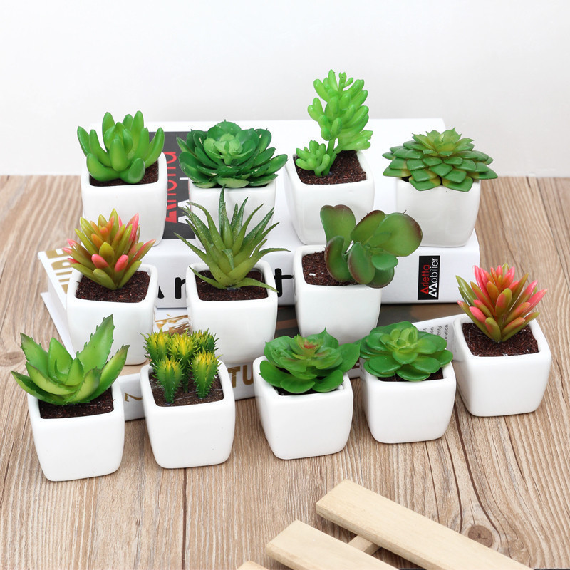 Mini imitation plant small pot set with pot succulent plant green plant bonsai ornament home decoration fake flower