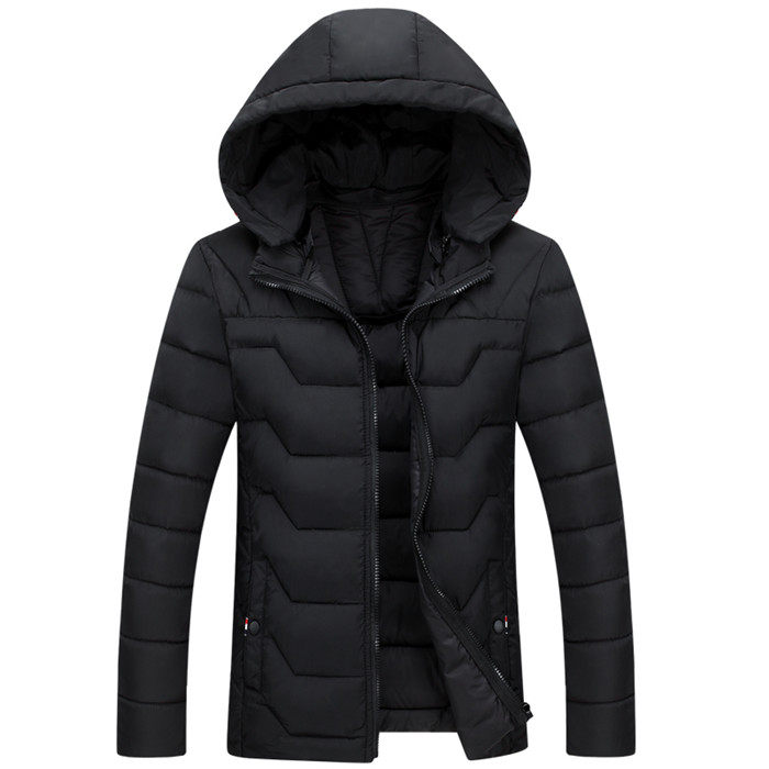 Blouson hiver pour homme   OTHER - Ref 3112341 Image 1
