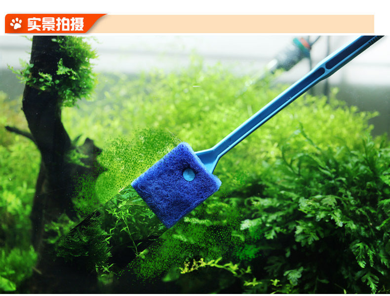 Letter Friend Fish Tank Cleaning Brush Length Shank Fish Tank Brushed Aquarium Cleaner Sponge Brush Cylinder Wall Clean Cotton Wipe Brush