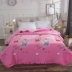 Tinh thể trải giường nhung bên tinh nhung bên ấm áp của rửa chăn bông thảm tatami thảm Taikang Four Seasons chăn - Trải giường Trải giường