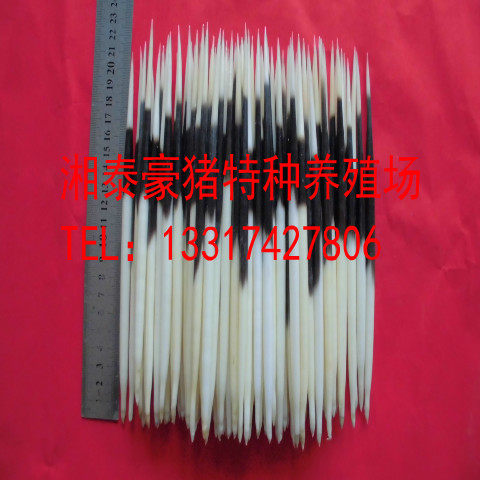 The pig bred 21 - 22CM fish drift and hair tea needle