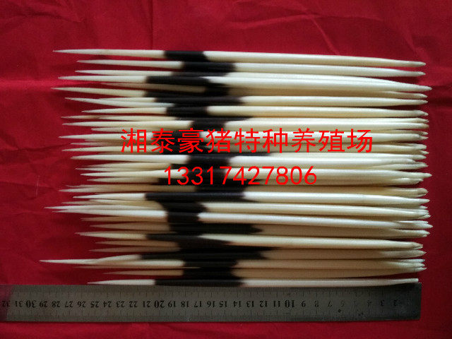 Breeding rare and coarse luxury pig sashimi connoisseurs with a collection of items