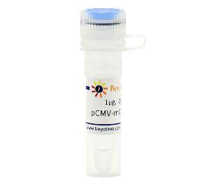 pCMV-N-mCherry (红色荧光蛋白) D2711-1&mu;g/D2711-100&mu;g 碧云天