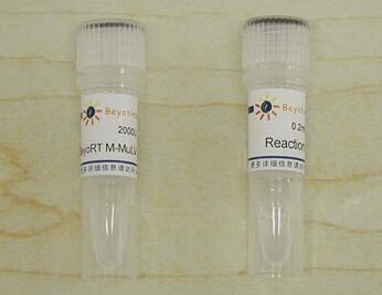 BeyoRT? M-MuLV反转录酶(RNase H-)  D7159   2000U  碧云天生物