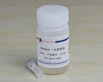 FLAG Tag Rabbit Polyclonal Antibody AF0036/100&mu;l 碧云天生物