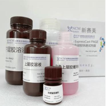 新赛美经典试剂PAGE彩色凝胶快速试剂盒 多浓度6/7.5/10/12.5/15%
