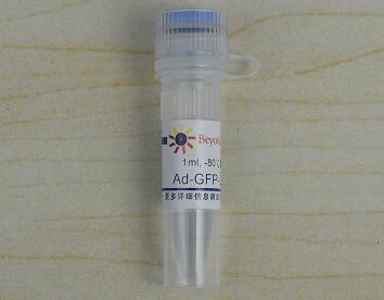 Ad-GFP-LC3B   C3006-1ml  C3006-10ml  碧云天生物 Beyotime