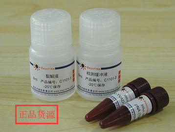 经典产品 科研专用 Caspase 8活性检测试剂盒 C1151 碧云天生物