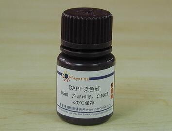 DAPI染色液 C1005  10ml  碧云天生物 Beyotime