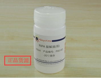 经典产品 科研专用 RIPA裂解液(弱) P0013D 碧云天生物Beyotime