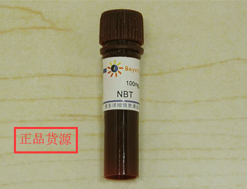 碧云天科研试剂NBT ST362 生物实验用100mg专业试剂 Beyotime品牌