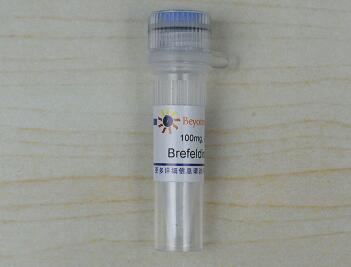 Brefeldin A (蛋白转运抑制剂)  S1536  碧云天生物beyotime