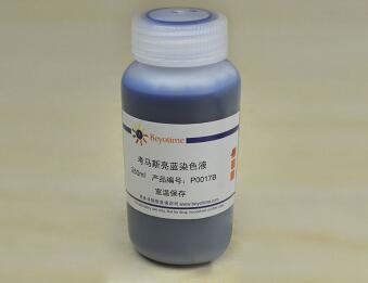 科研经典考马斯亮蓝染色液(常规法) P0017B/250ml 碧云天Beyotime