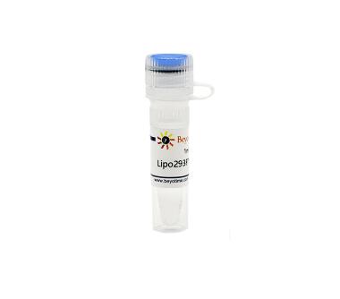 科研专用 经典产品 Lipo293 转染试剂 C0521 碧云天生物 Beyotime