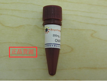 经典产品 科研专用试剂 ONPG  ST429 碧云天生物 Beyotime