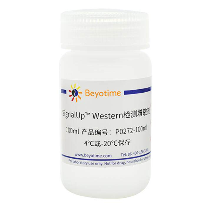 SignalUp? Western检测增敏剂 P0272-100ml/500ml碧云天Beyotime