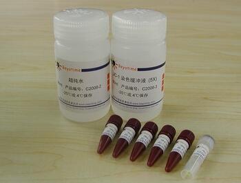 线粒体膜电位检测试剂盒(JC-1) C2006 100次 碧云天生物 Beyotime