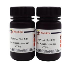 BeyoECL Plus (超敏ECL化学发光试剂盒)P0018S/P0018M 碧云天生物