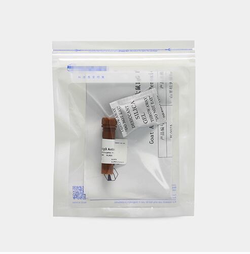 进口分装 山羊抗小鼠/大鼠/兔 驴抗山羊 Alexa 488标记二抗IgG