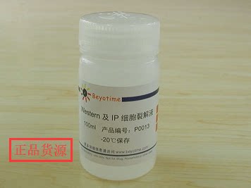 经典产品 科研专用 Western及IP细胞裂解液 P0013 碧云天Beyotime