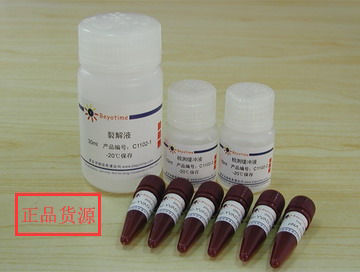 经典产品 科研专用 Caspase 1活性检测试剂盒 C1102 碧云天生物