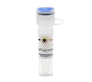 AdPlus-mCherry-GFP-LC3B  C3012-1ml C3012-10ml碧云天 Beyotime