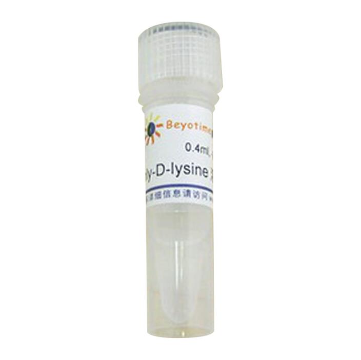 多聚赖氨酸 Poly-D-lysine溶液  C0312  2mg 碧云天生物 Beyotime