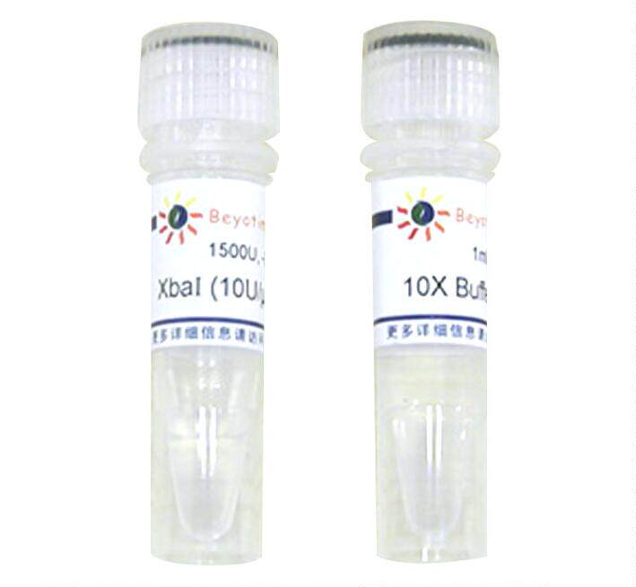 科研专用 经典 XbaI内切酶   D6713   1500U 碧云天生物 Beyotime