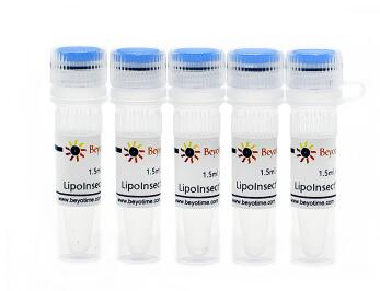 LipoInsect?转染试剂  C0551-0.5ml/1.5ml/7.5ml 碧云天Beyotime