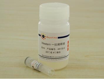 Di-Methyl-Histone H3(Lys9)抗体(兔多抗) AH438/20次 碧云天生物