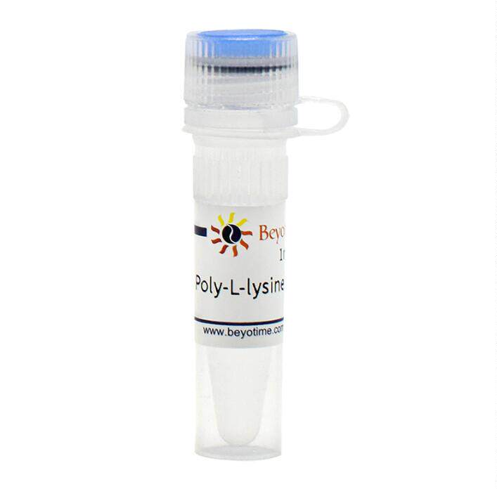 多聚赖氨酸 Poly-L-lysine溶液  C0313  5mg 碧云天生物 Beyotime
