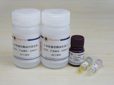 细胞衰老&beta;-半乳糖苷酶染色试剂盒  C0602/100次 碧云天 Beyotime