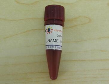 L-NAME (eNOS抑制剂)   S0006   200mg   碧云天生物 Beyotime