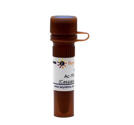 Ac-DEVD-pNA (Caspase 3显色底物)  P9710-0.1ml/5mg/25mg 碧云天
