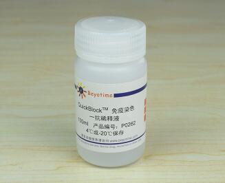 QuickBlock?免疫染色一抗稀释液   P0262 100ml 碧云天 Beyotime