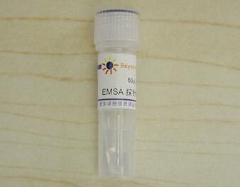 EMSA探针－ARE (1.75&mu;M)   GS013  60&mu;l  碧云天生物 Beyotime