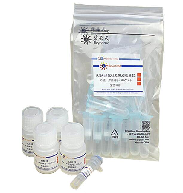 科研经典 RNAeasy动物RNA抽提试剂盒(离心柱式)12次/50次/200次