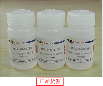 经典产品 科研专用 RIPA裂解液(强 中 弱套装) P0013E 碧云天生物