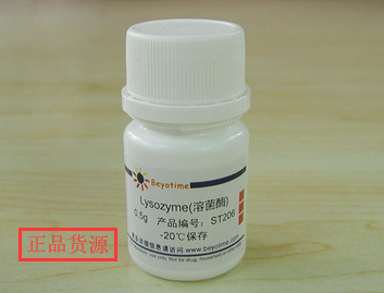经典产品 科研专用 Lysozyme/溶菌酶20KU/mg ST206 碧云天生物