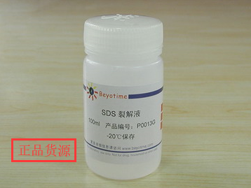 经典产品 科研专用 SDS裂解液 P0013G 碧云天生物Beyotime