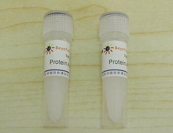 Protein G Agarose (Fast Flow, 进口分装)P2009  2ml 碧云天生物
