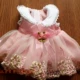 30 - 35 cm Naibo Nie Mi Mi mô phỏng búp bê màu hồng màu xanh váy quần áo phụ kiện đầm bộ đồ chơi búp bê cho bé