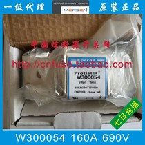 V300053 W300054 X300055 69URD30TTF 690V 125A 160A 200A insurance