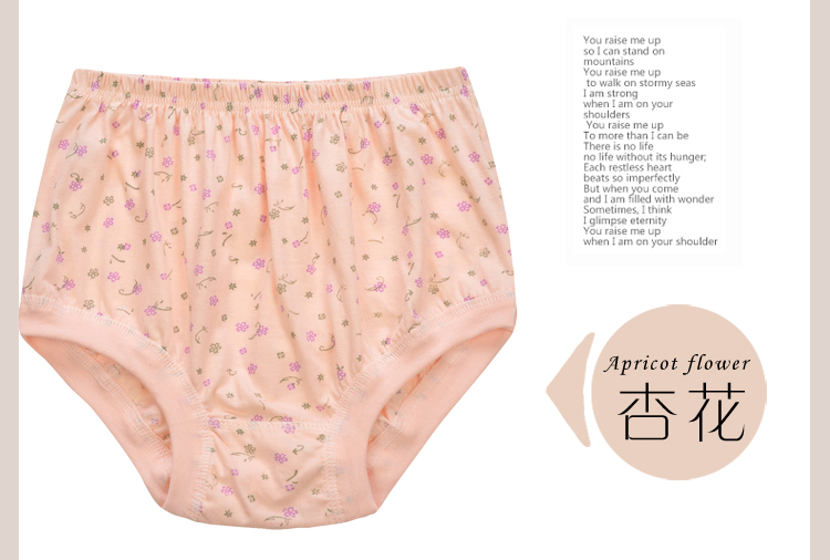 Đồ lót cotton trung niên và cũ, quần sịp của phụ nữ, đồ lót của mẹ, ông già, cộng với phân bón, tăng đồ lót quan sip nam